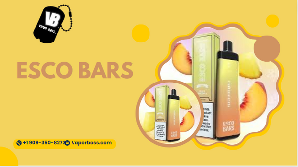 Esco Bars Disposable Vape: A Flavorful Journey to Vaping Paradise