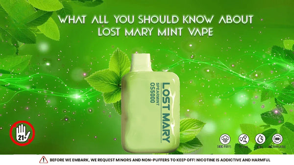 What All You Should Know About Lost Mary Mint Vape