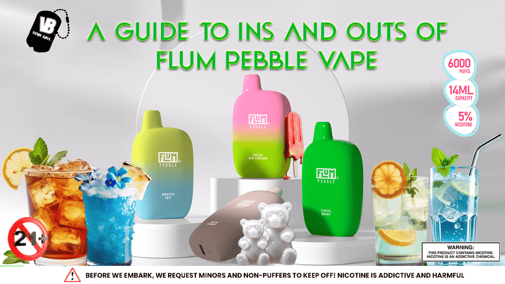 A Guide to Ins and Outs of Flum Pebble Vape | Disposable Vape A Guide to Ins and Outs of Flum Pebble Vape | Disposable Vape