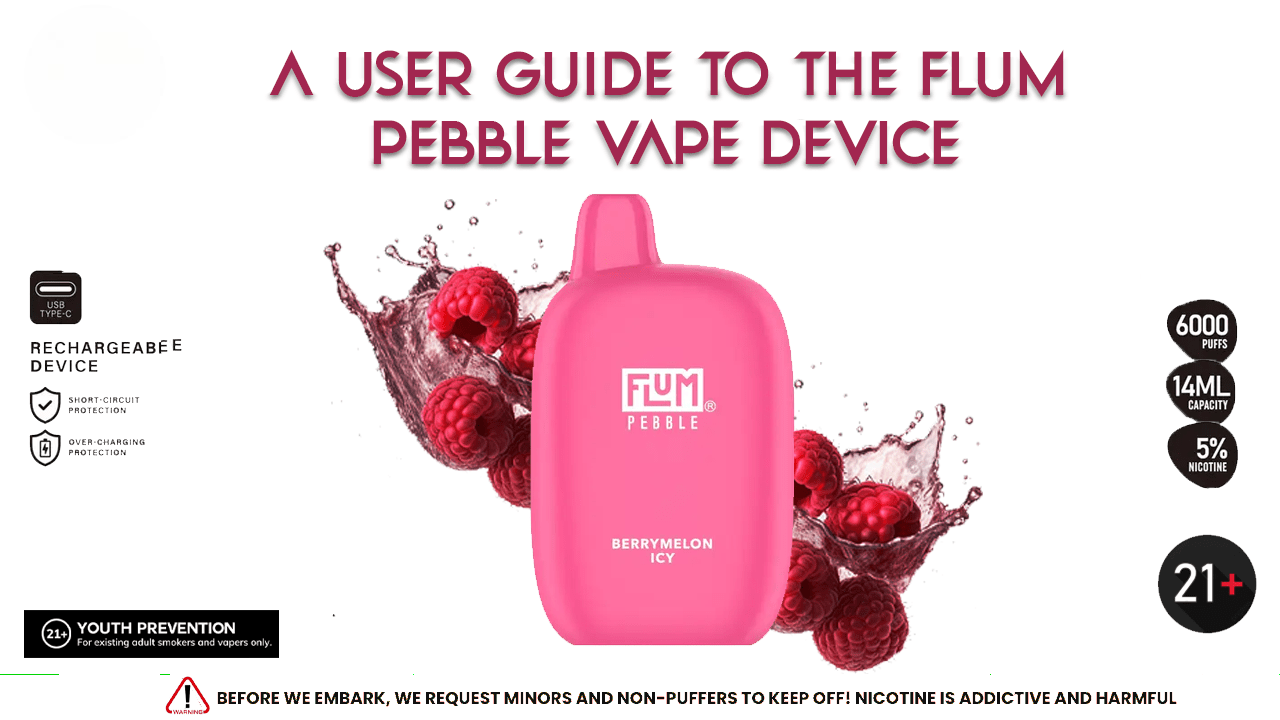 Flum Pebble Vape Device