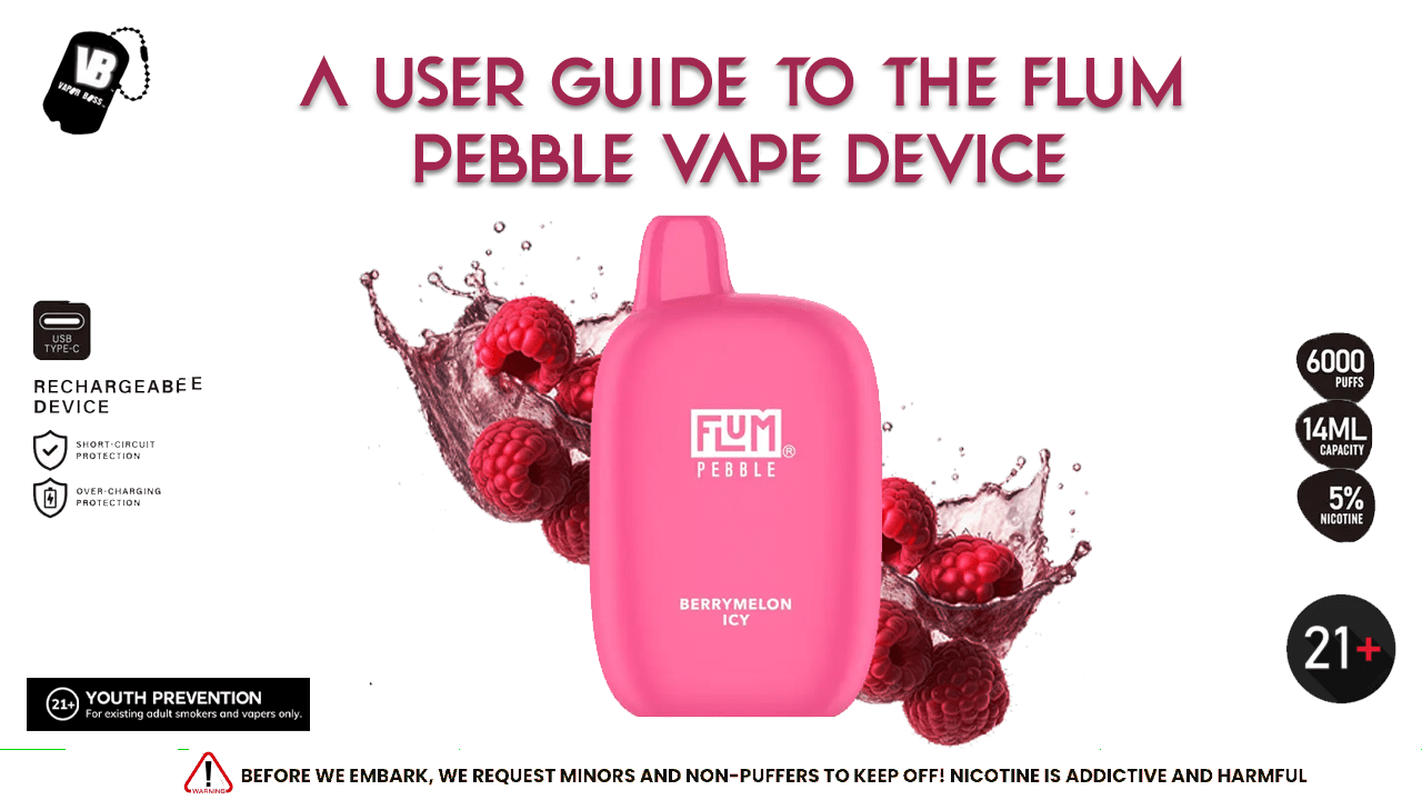 Flum Pebble Vape Device