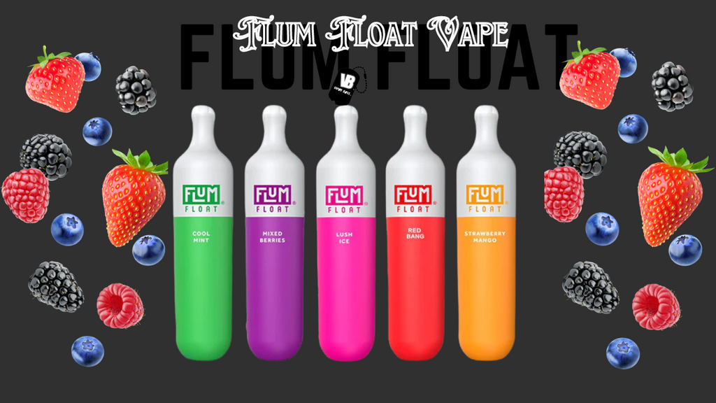 A Comprehensive Overview Of Flum Float Vape