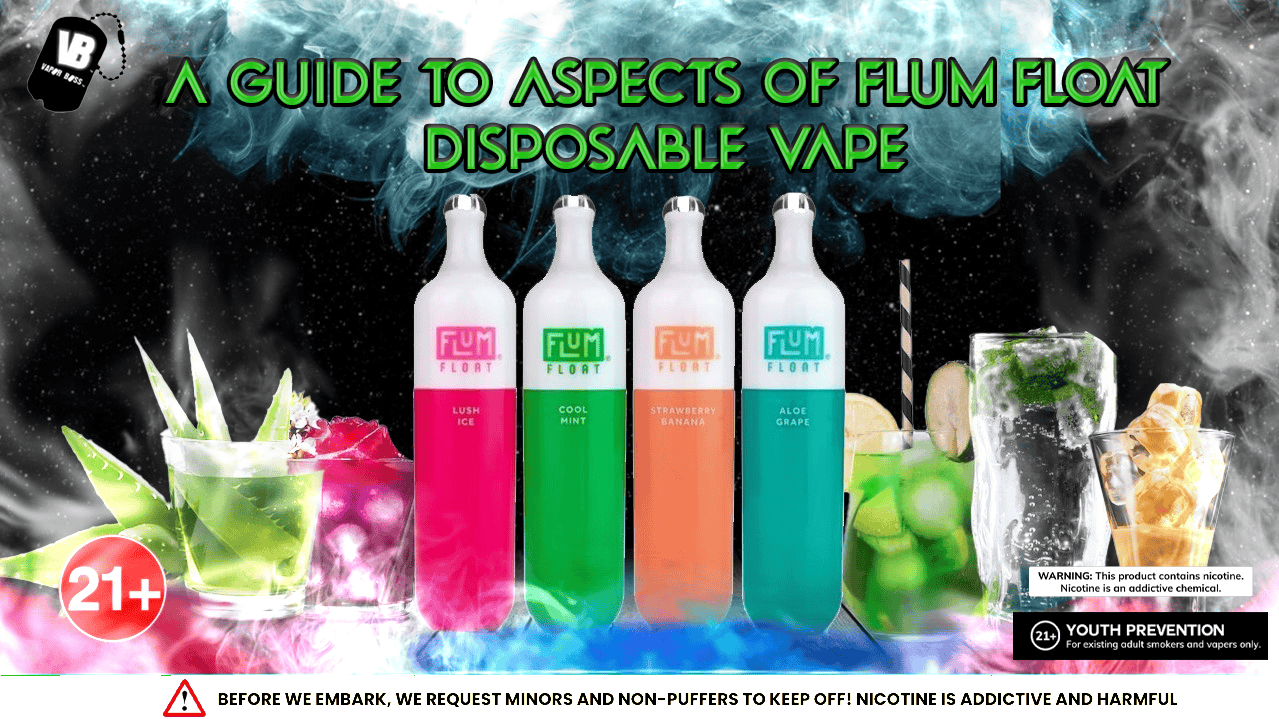 A Guide to Aspects of Flum Float Disposable Vape