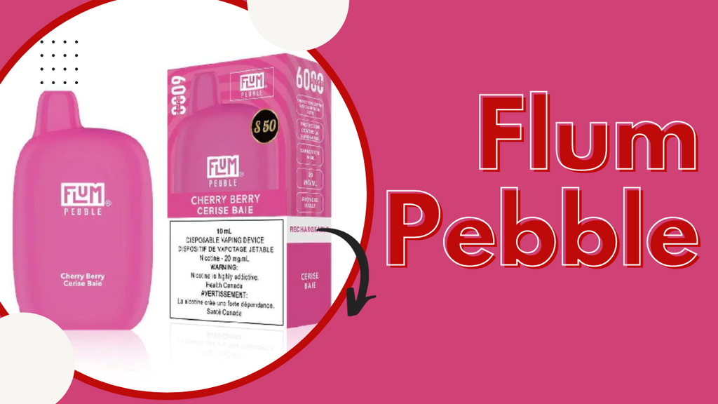 Flum Pebble: A Flavorful Journey Through the World of Vaping