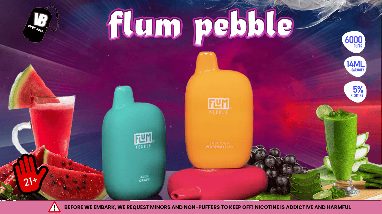 Flum Pebble; A Comprehensive Review of the $13.88, 6000 Puffs