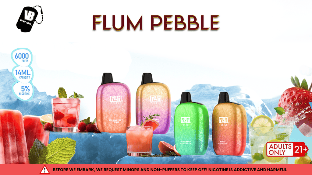 Flum Pebble Vape Review: Best Beginner Vape