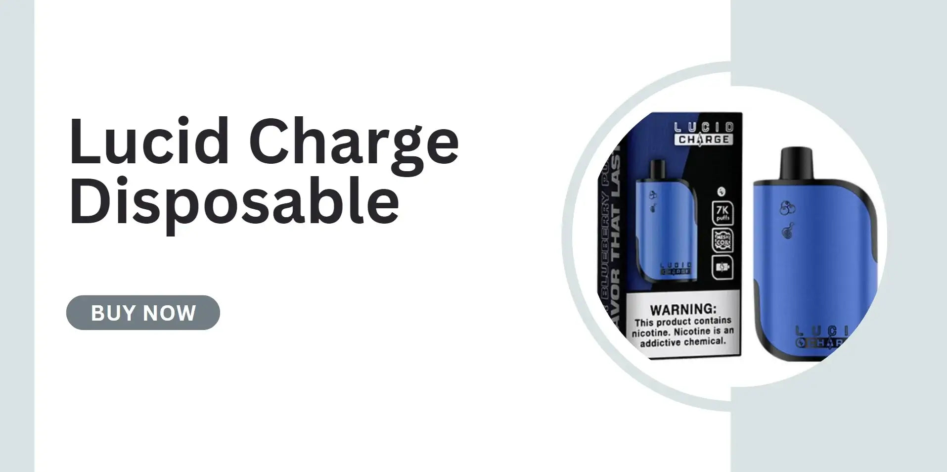 Lucid Charge Disposable