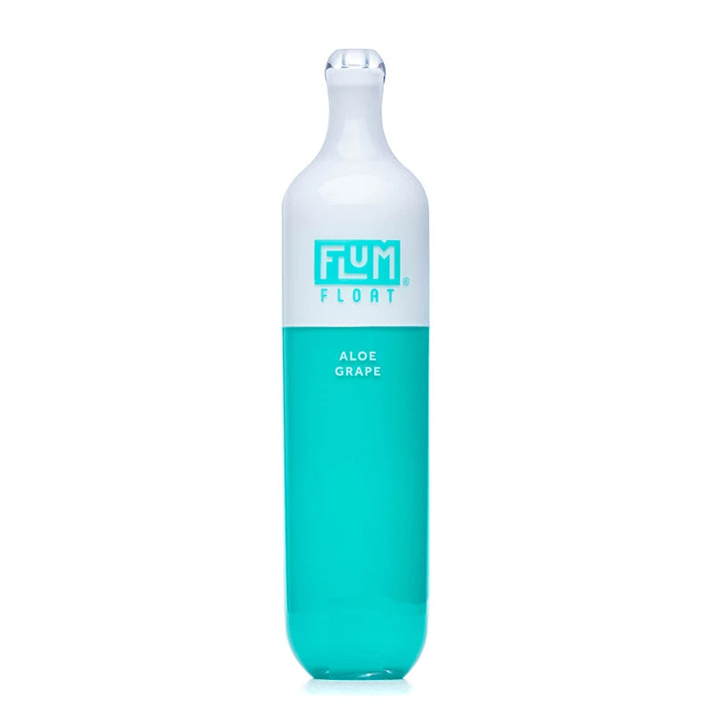 Flum Float Disposable Vape Review – A Vape and More