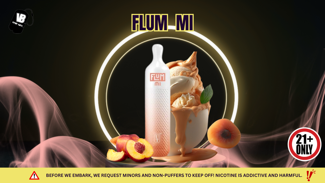Flum MI Rechargeable Vape: What You Need to Know?