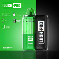 Thumbnail for Lush Pro Icy Mint - Twelve Tribes