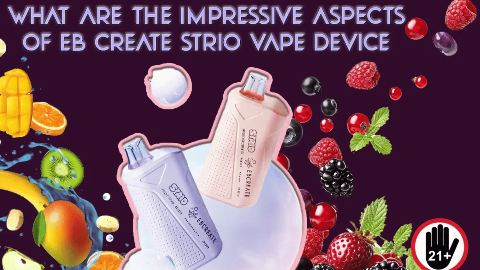 EB Create Strio