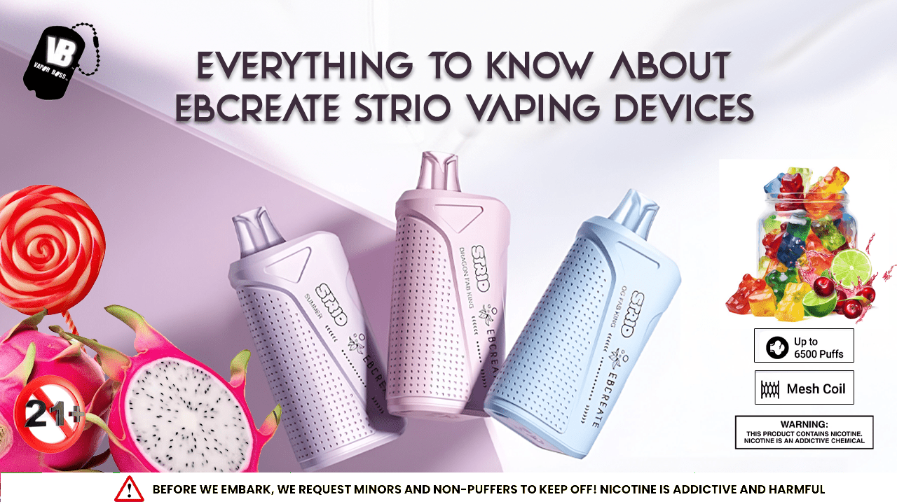 EB Create Strio