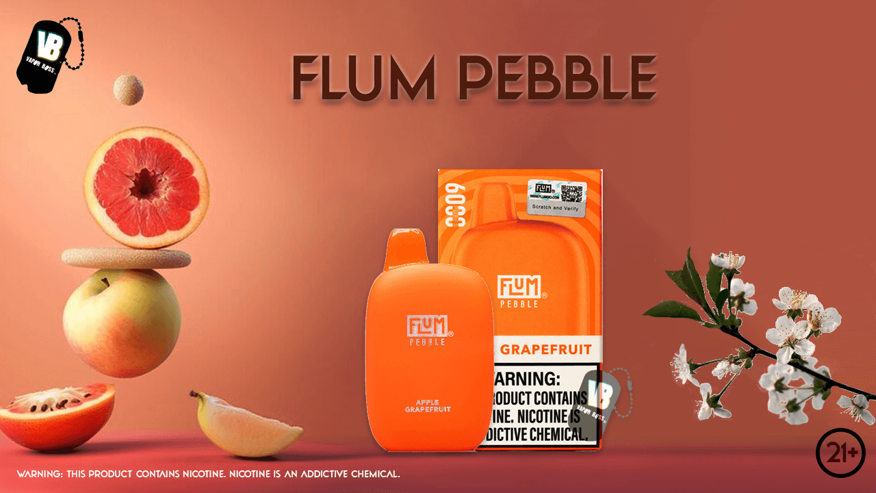 Flum Pebble 6000 Puffs