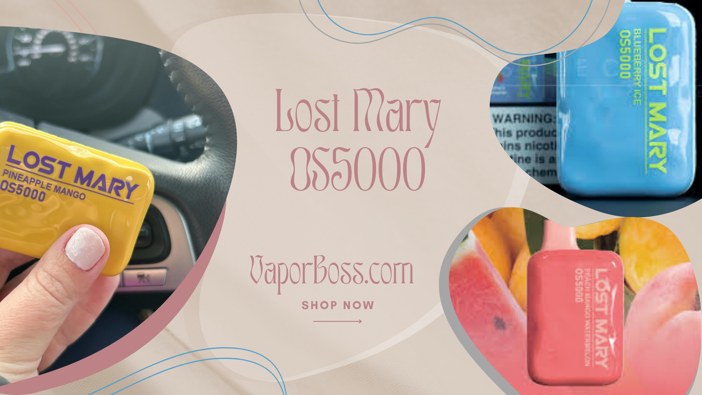 Lost Mary