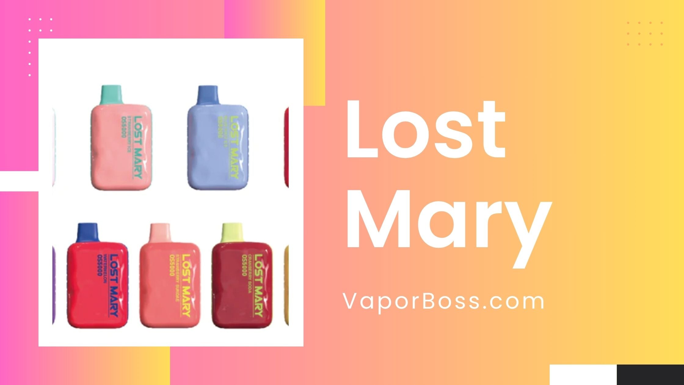 Lost Mary